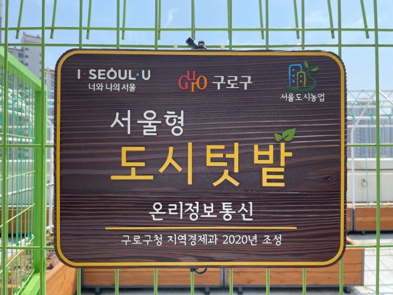 옥상텃밭1.jpg