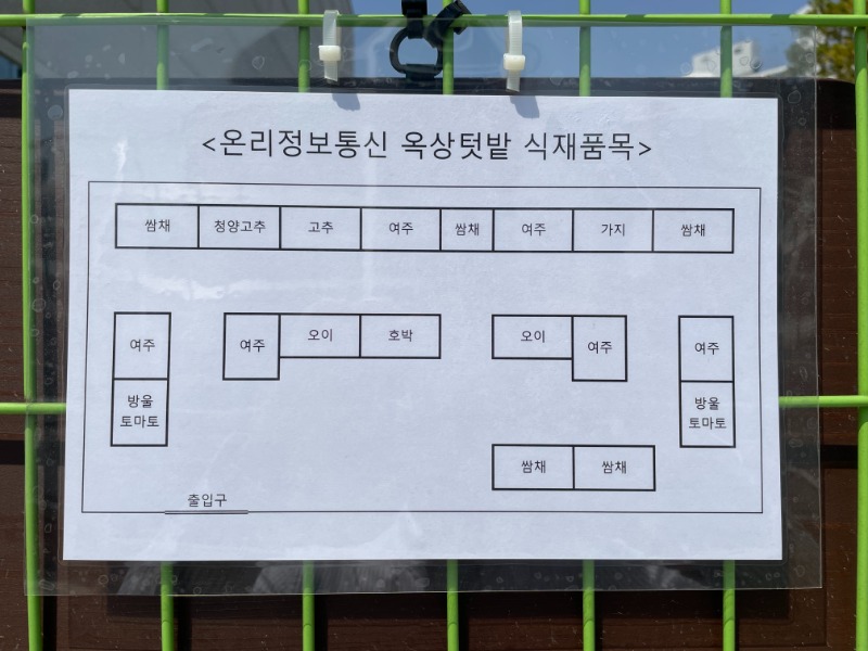 옥상텃밭2.jpg