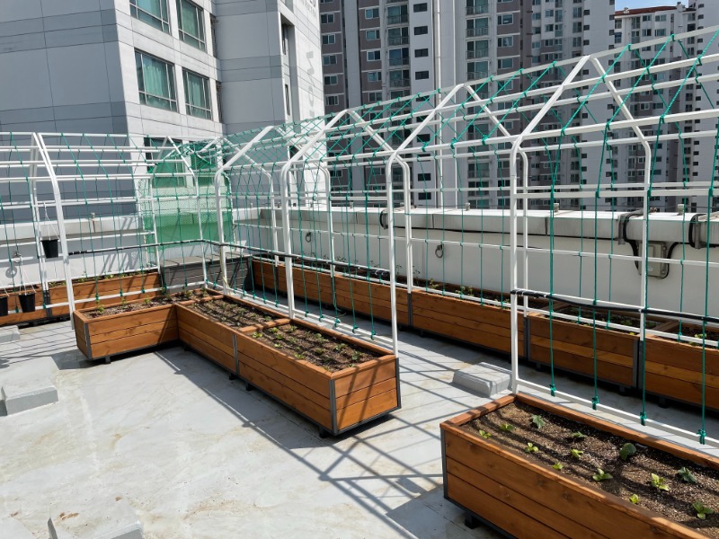 옥상텃밭6.jpg