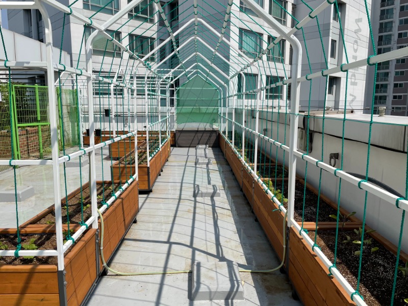 옥상텃밭7.jpg